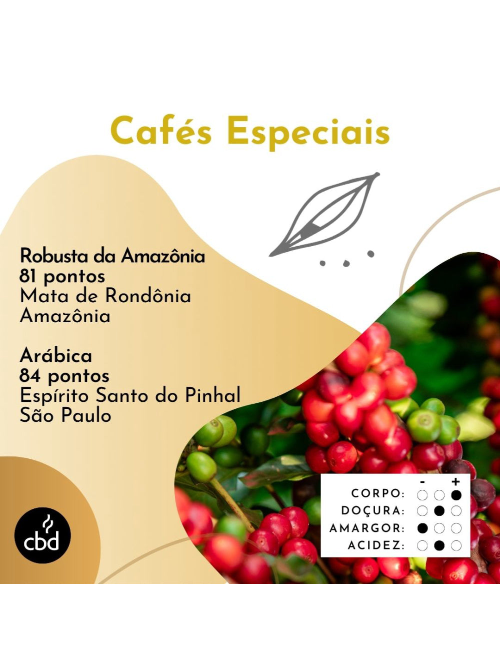 Café Morning Kush MOÍDO Sachê 500g