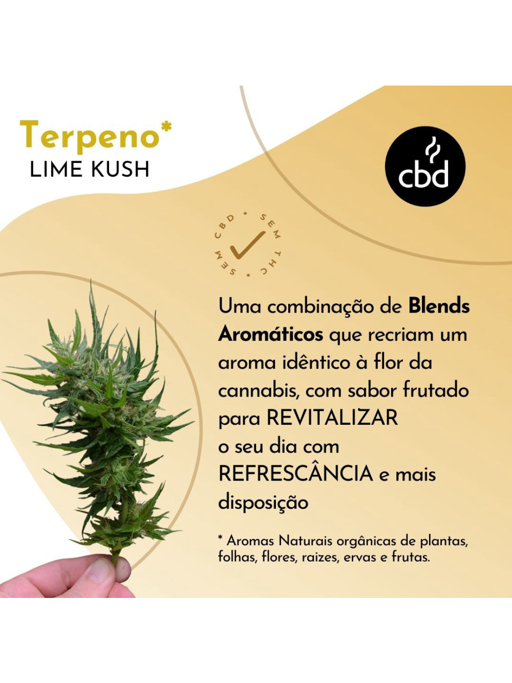 Café Morning Kush MOÍDO Sachê 500g