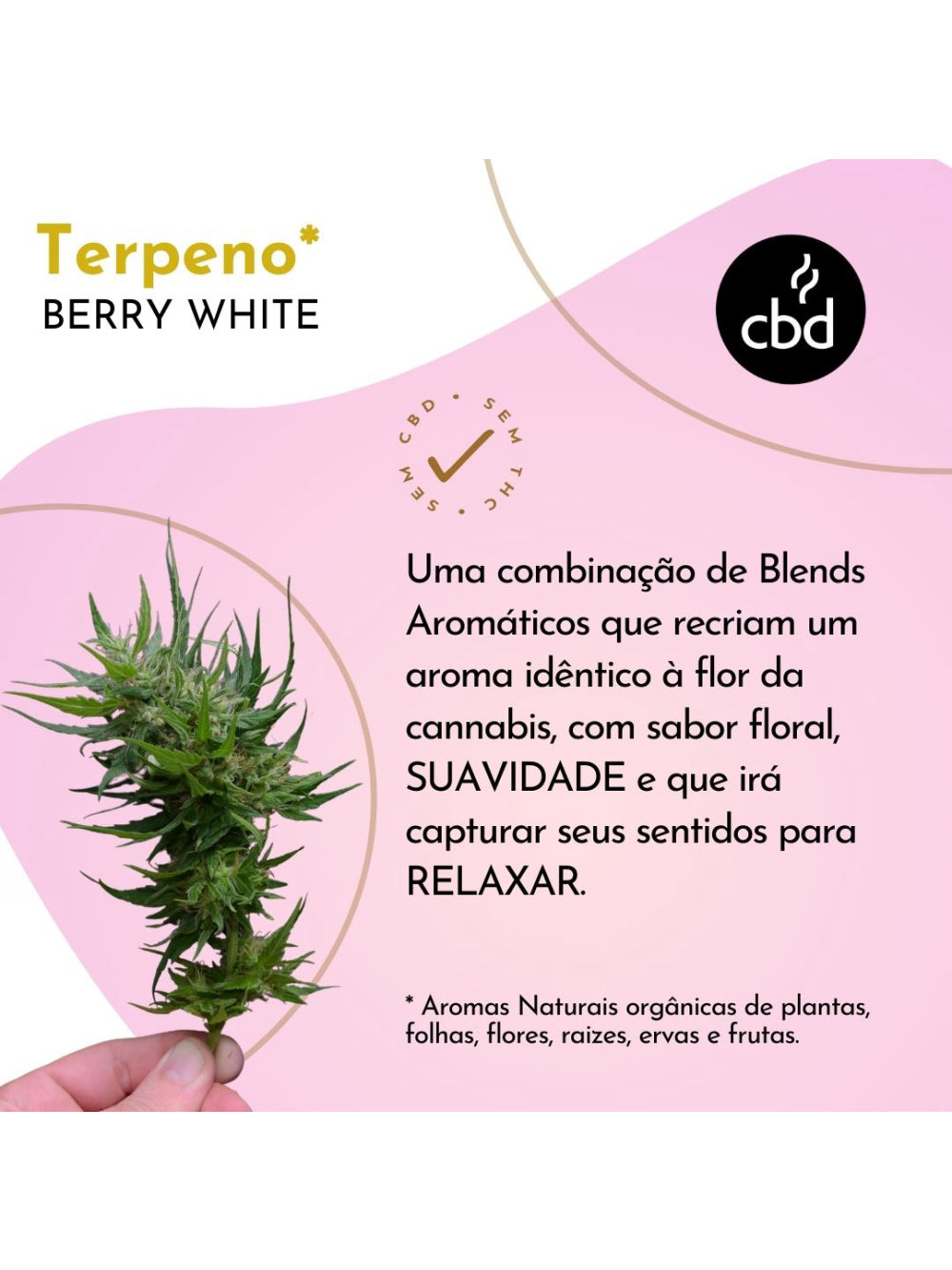 Café Berry Night DECAF Descafeinado MOÍDO Sachê 500g