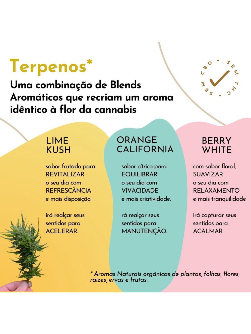 Kit Café Sensorial MOÍDO Manhã Tarde Noite 3 x 100g Caixa 300g