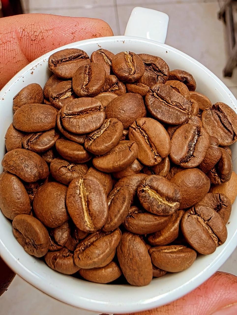 Café Dutchello Bourbon 1kg