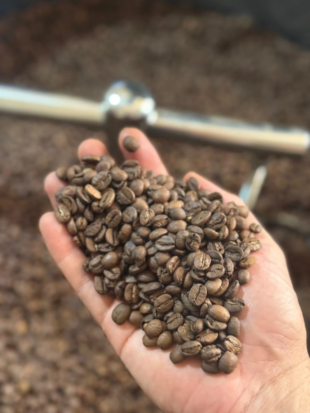 Café Dutchello Oeiras 250g