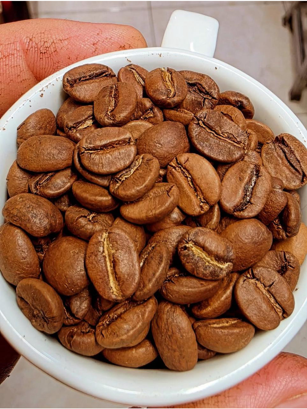 Café Dutchello Oeiras 250g