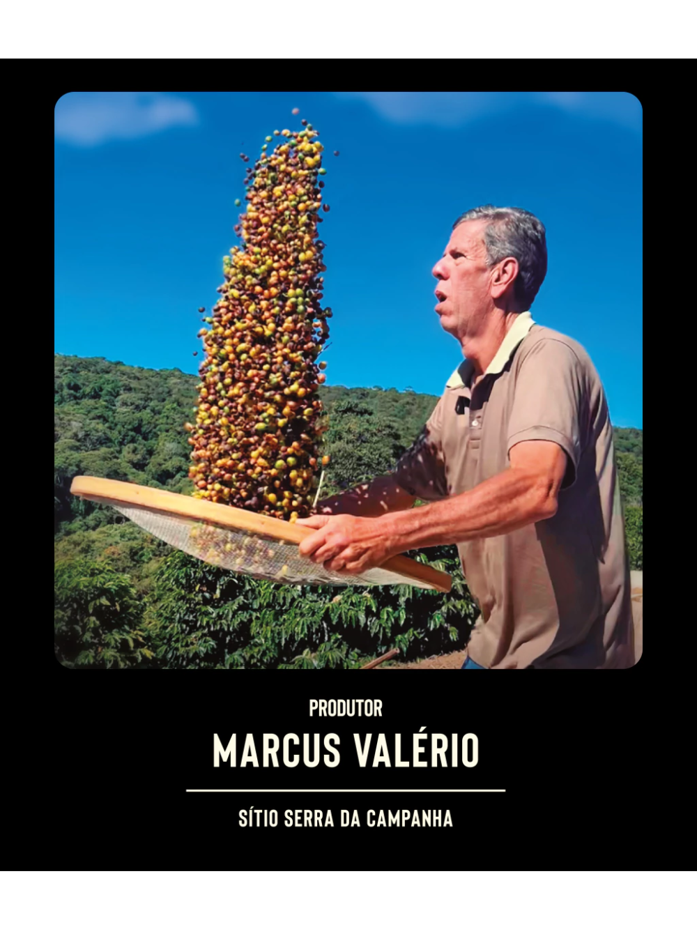 Bourbon Amarelo Natural  Sítio Serra da Campanha 250gr