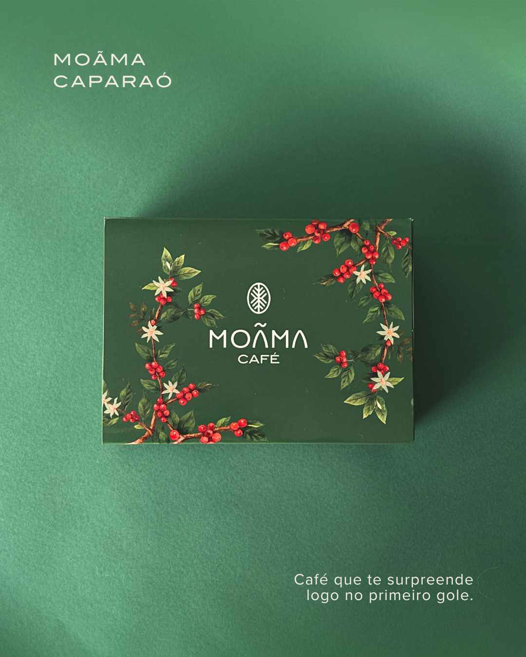 Café Moãma Caparaó Grãos 250g