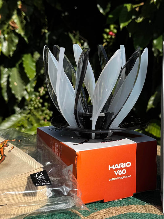 Porta filtro Hario V60 Suiren 02  Edição Limitada 2024 Preto & Branco