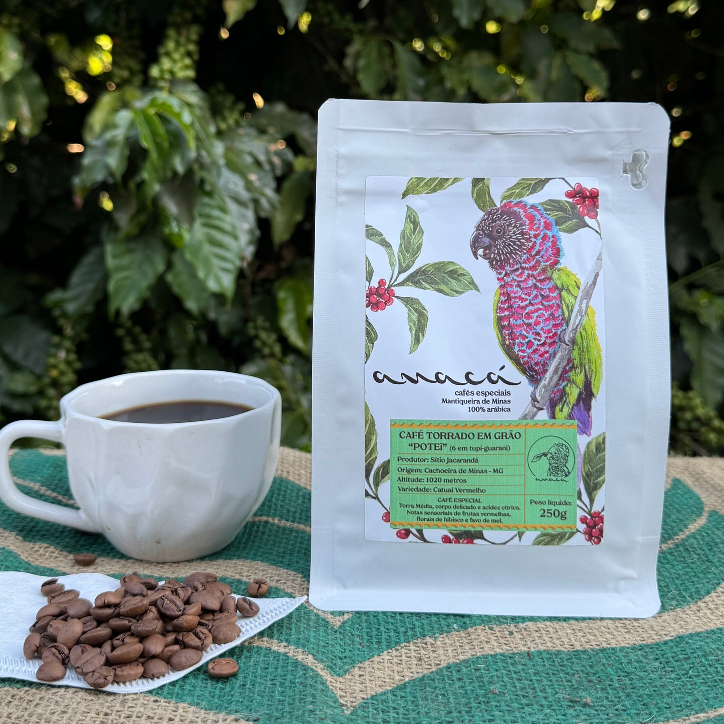 Café especial POTEI torrado em grãos 250g Anacá