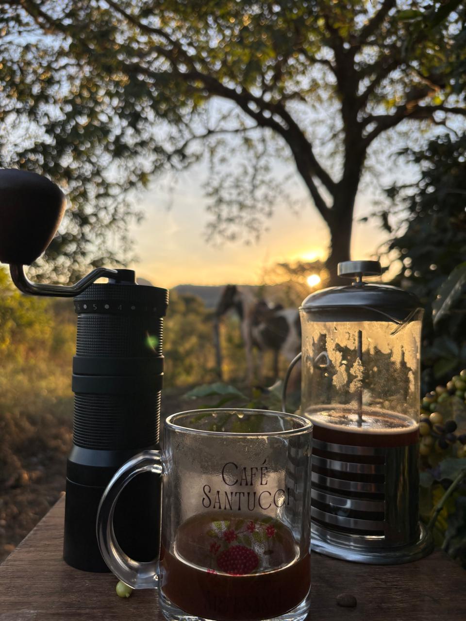 Café moca mokinha especial artesanal torra média mel e caramelo100% arábica alta mogiana grão e moído Café Santucci