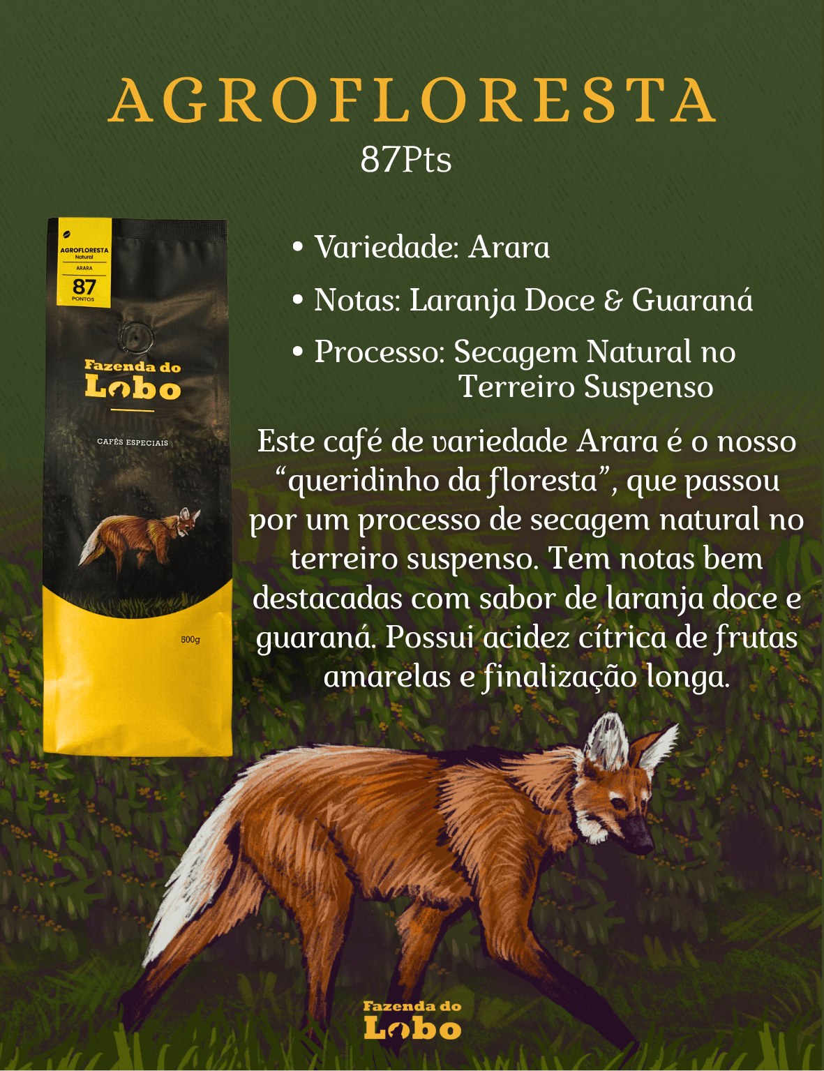 Café Especial 87Pts Agrofloresta 1kg 100% Arábica Fazenda do Lobo