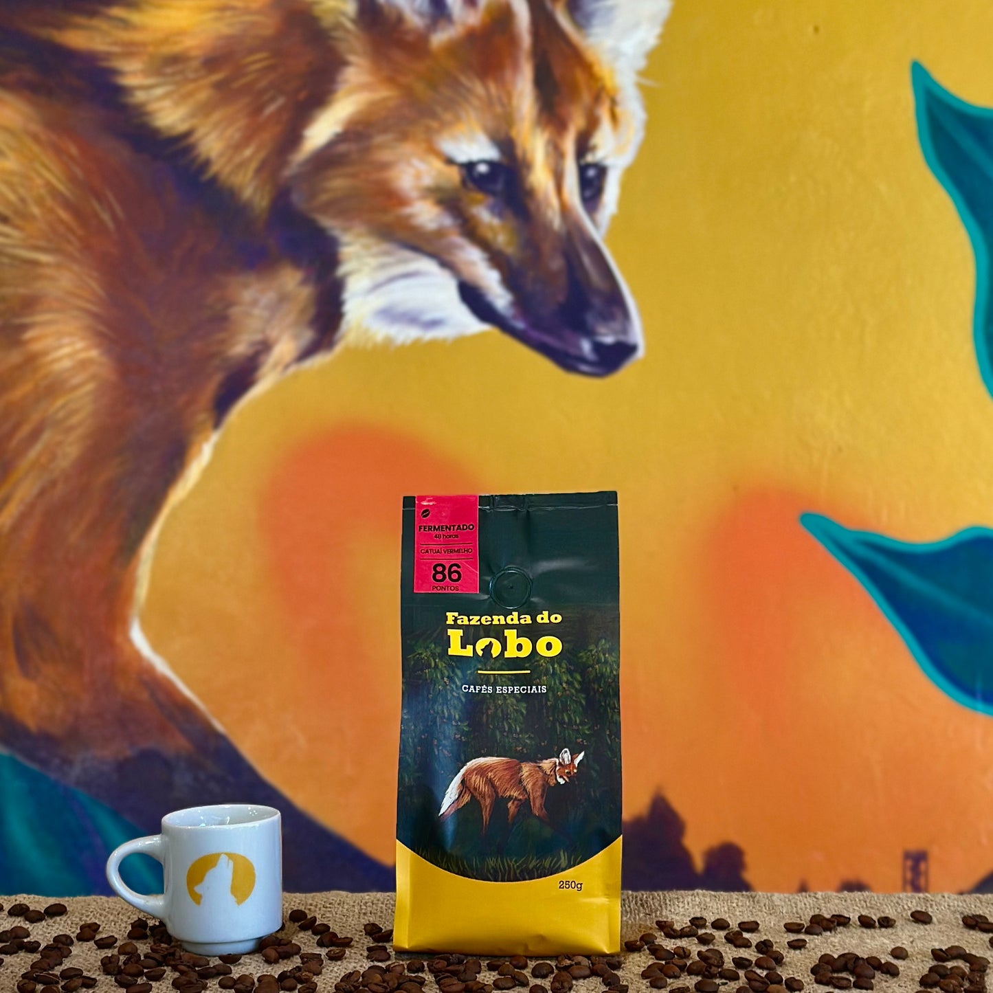 Café Especial 86Pts Fermentado 250g 100% Arábica Fazenda do Lobo
