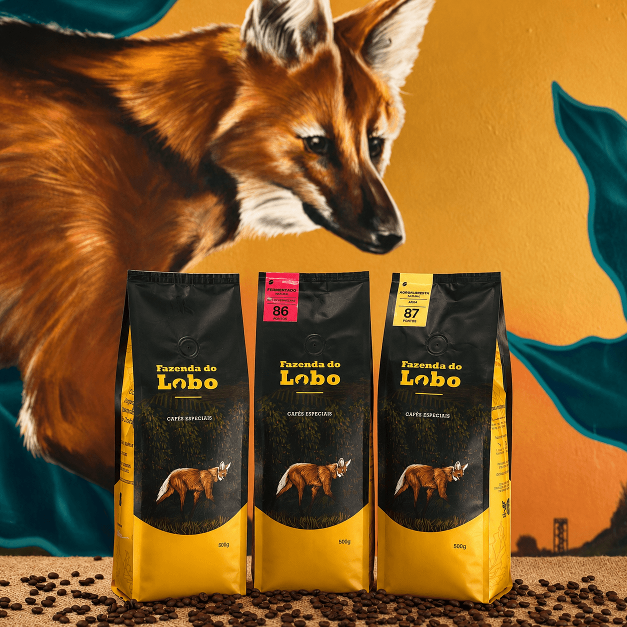 Kit 3em1 500g Café Especial 500g 3un 100% Arábica Fazenda do Lobo