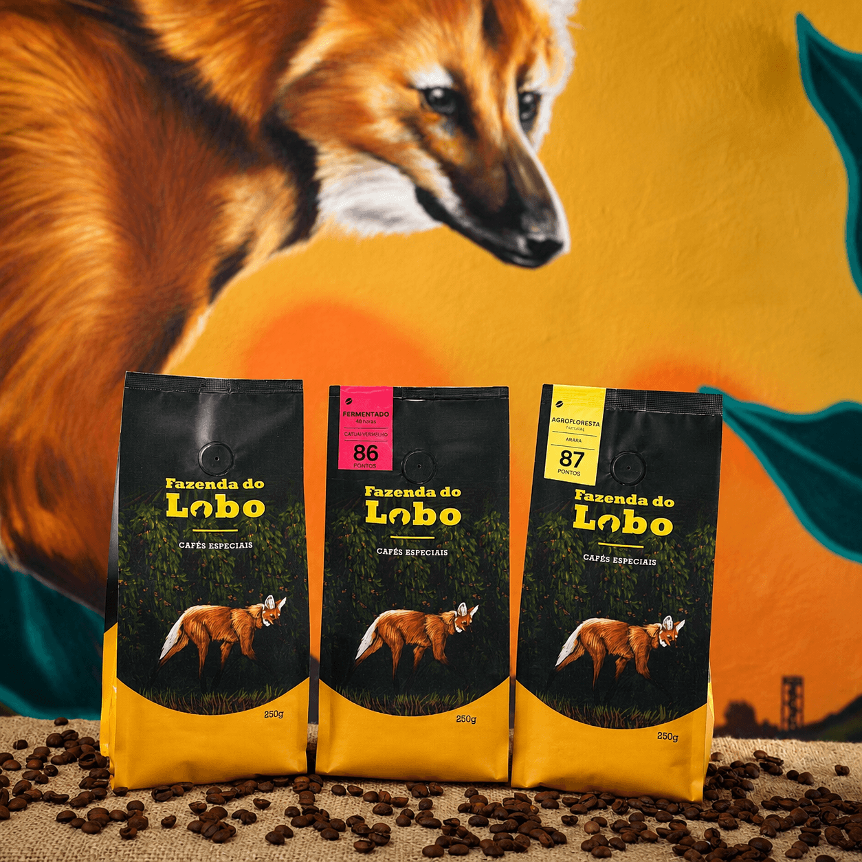 Kit 3em1 250g Café Especial 250g 3un 100% Arábica Fazenda do Lobo