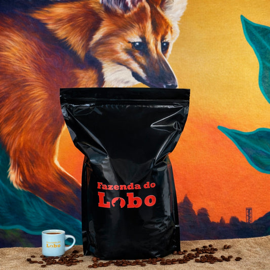 Café Especial 86Pts Fermentado 3kg 100% Arábica Fazenda do Lobo