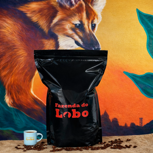 Café Especial 86Pts Fermentado 3kg 100% Arábica Fazenda do Lobo