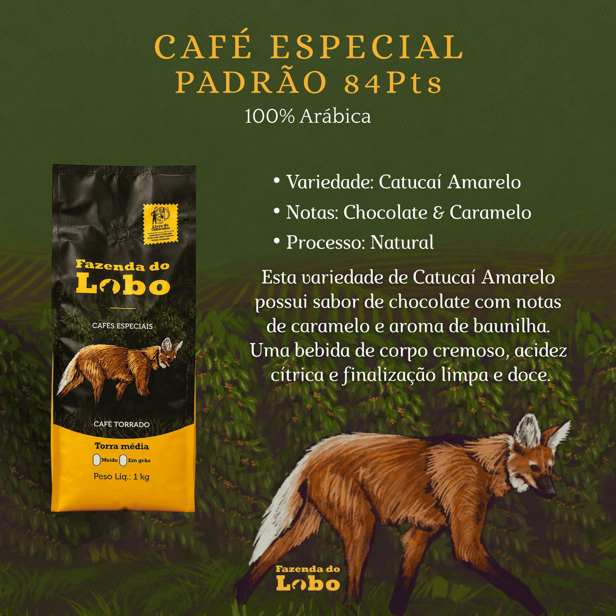 Café Especial 84Pts Padrão 1kg 100% Arábica Fazenda do Lobo