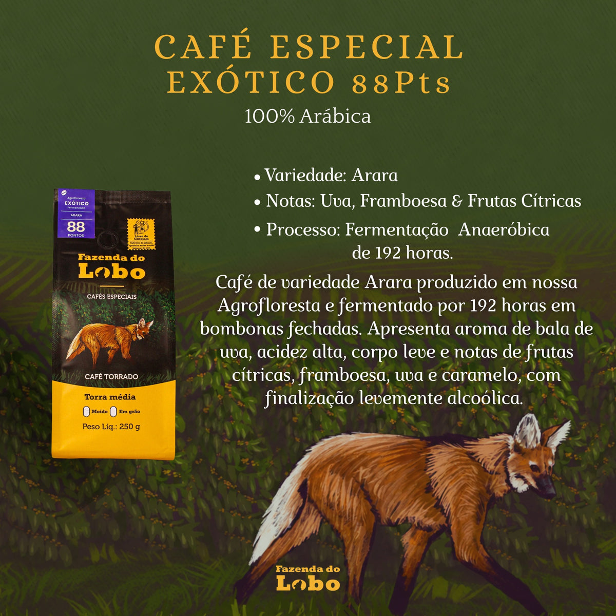 Café Especial 88Pts Exótico 250g 100% Arábica Fazenda do Lobo