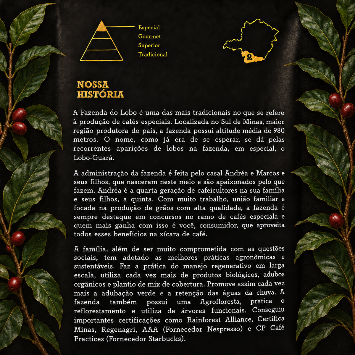 Café Especial 88Pts Exótico 250g 100% Arábica Fazenda do Lobo