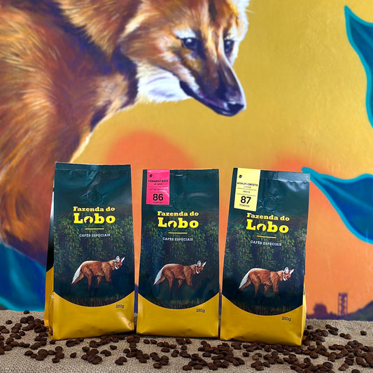 Kit 3em1 250g Café Especial 250g 3un 100% Arábica Fazenda do Lobo