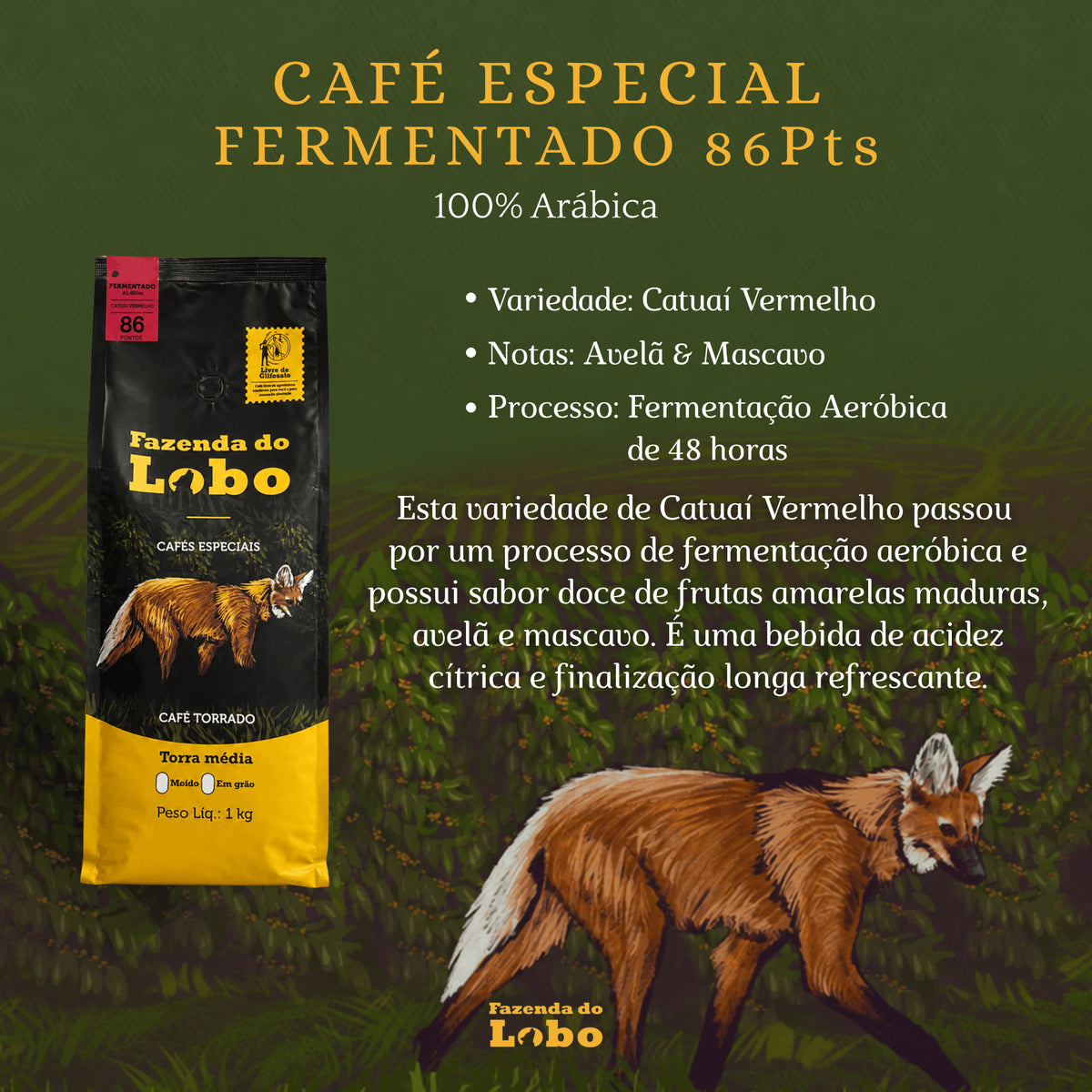Kit Lobão Café Especial 1kg 2un + Drip Coffee 100% Arábica Fazenda do Lobo