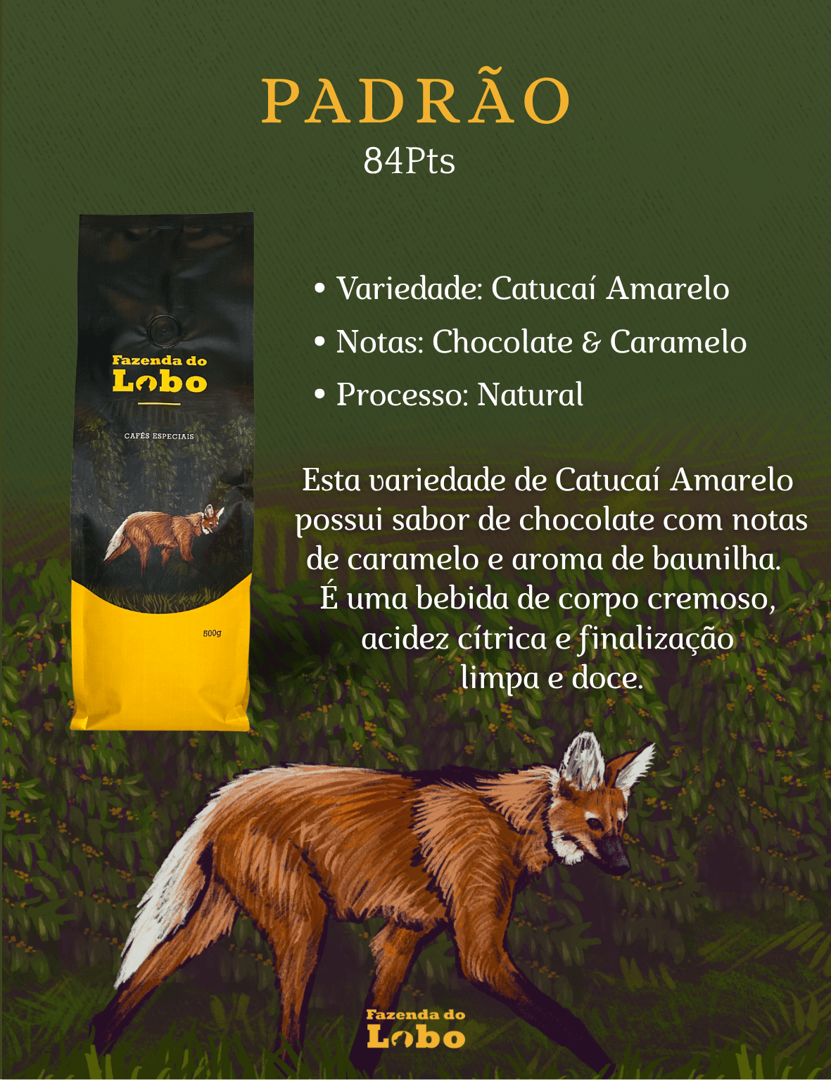 Kit 3em1 500g Café Especial 500g 3un 100% Arábica Fazenda do Lobo