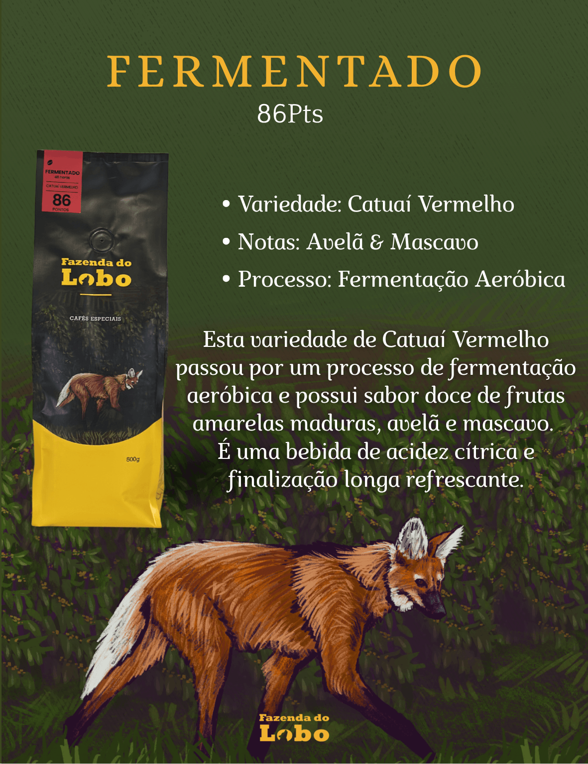 SuperKit Lobo Todas as 3 variedades 500g e Drip Coffee 100% Arábica Fazenda do Lobo