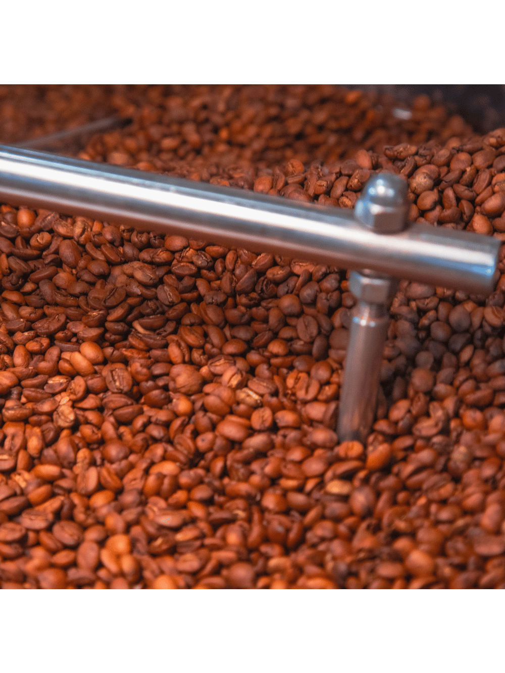 Café Moído 250g | Notas Sensoriais de Chocolate e Melaço