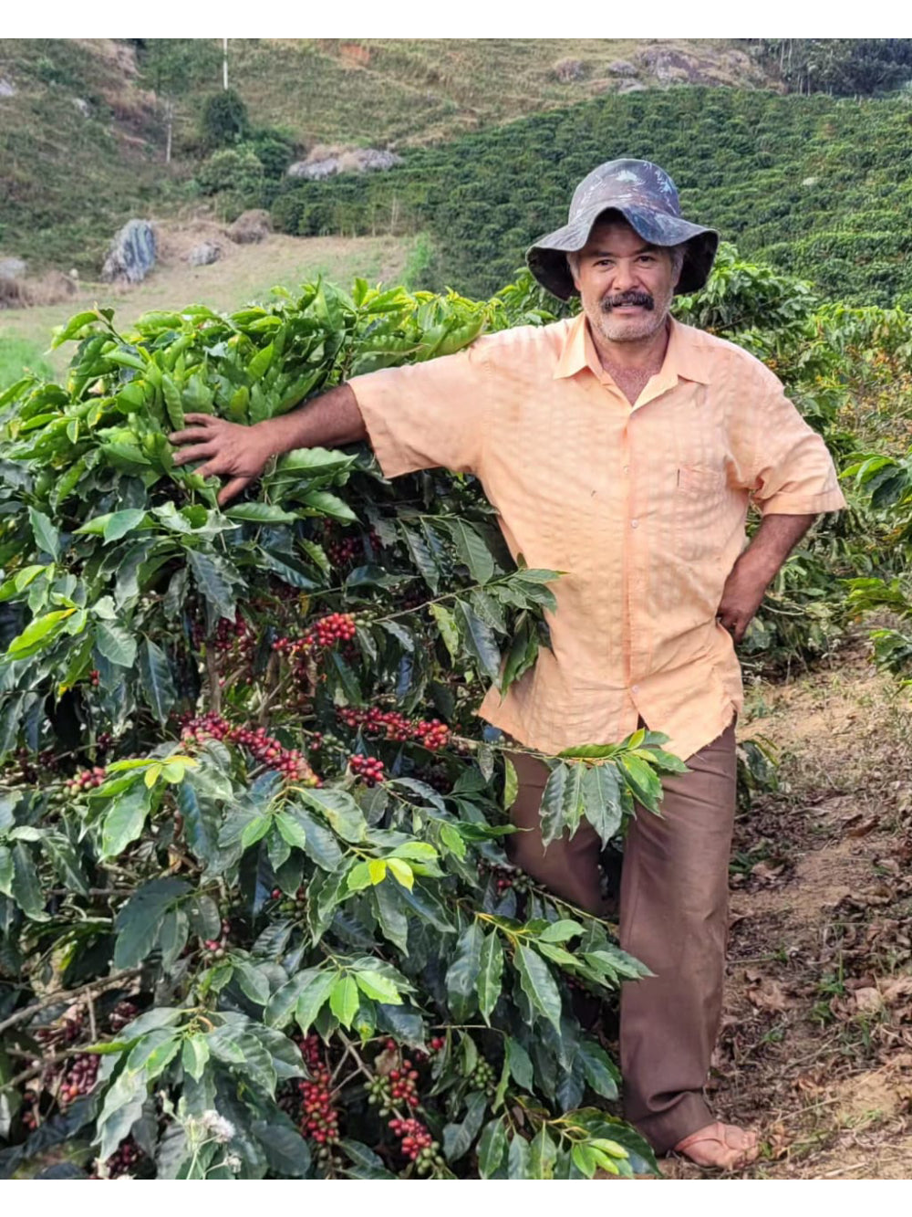 Café Especial Moído 250g em grãos Arabel's Sinfonia de Notas