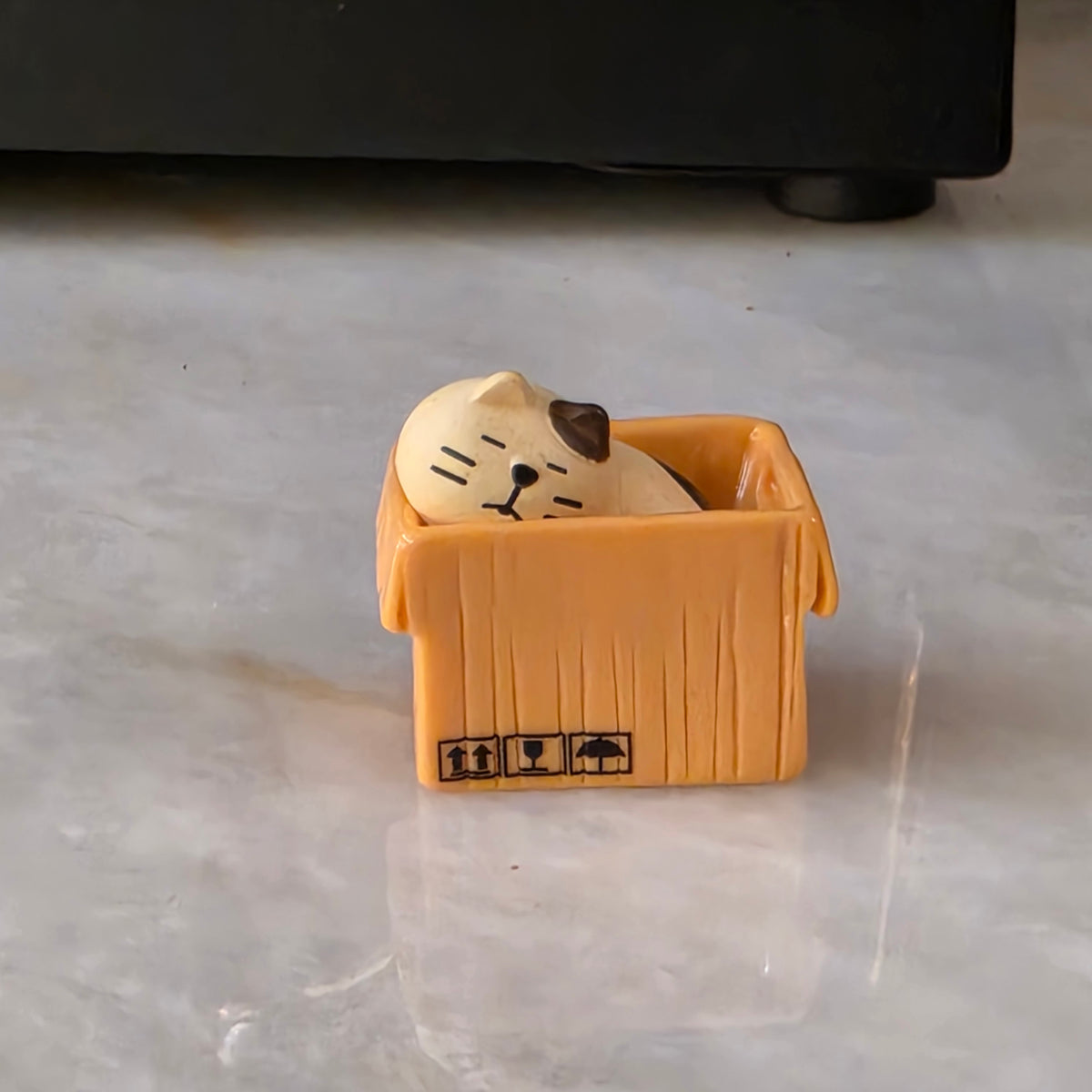 Mini placa decorativa magnética Gato na caixa