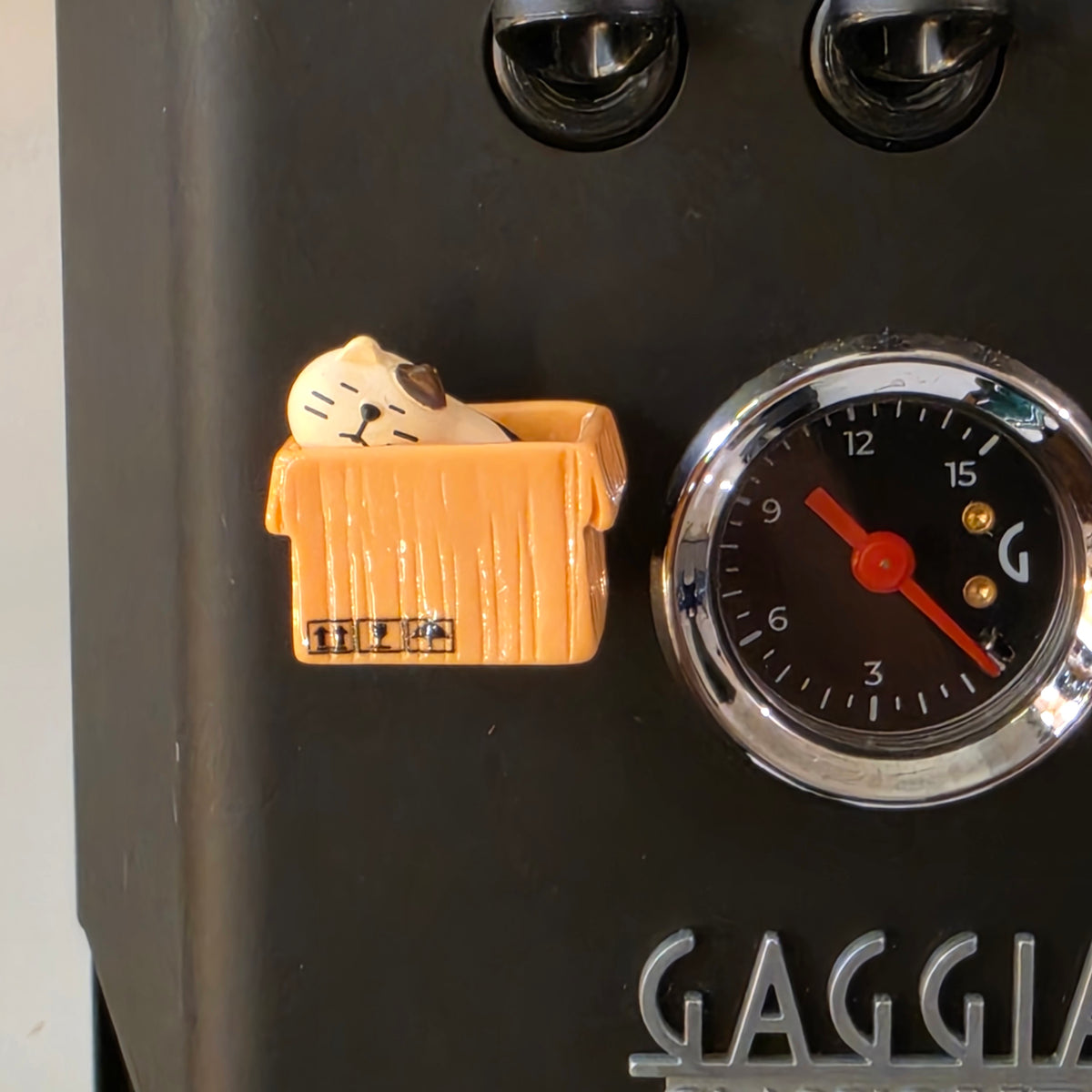 Mini placa decorativa magnética Gato na caixa