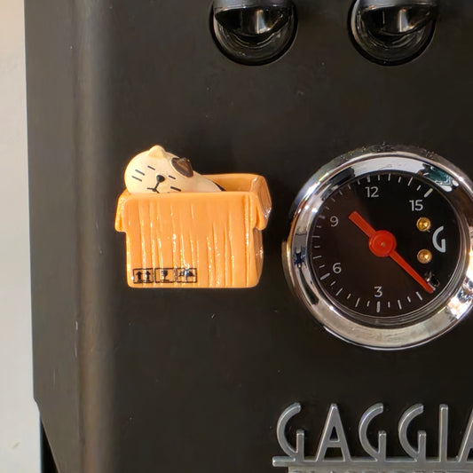 Mini placa decorativa magnética Gato na caixa