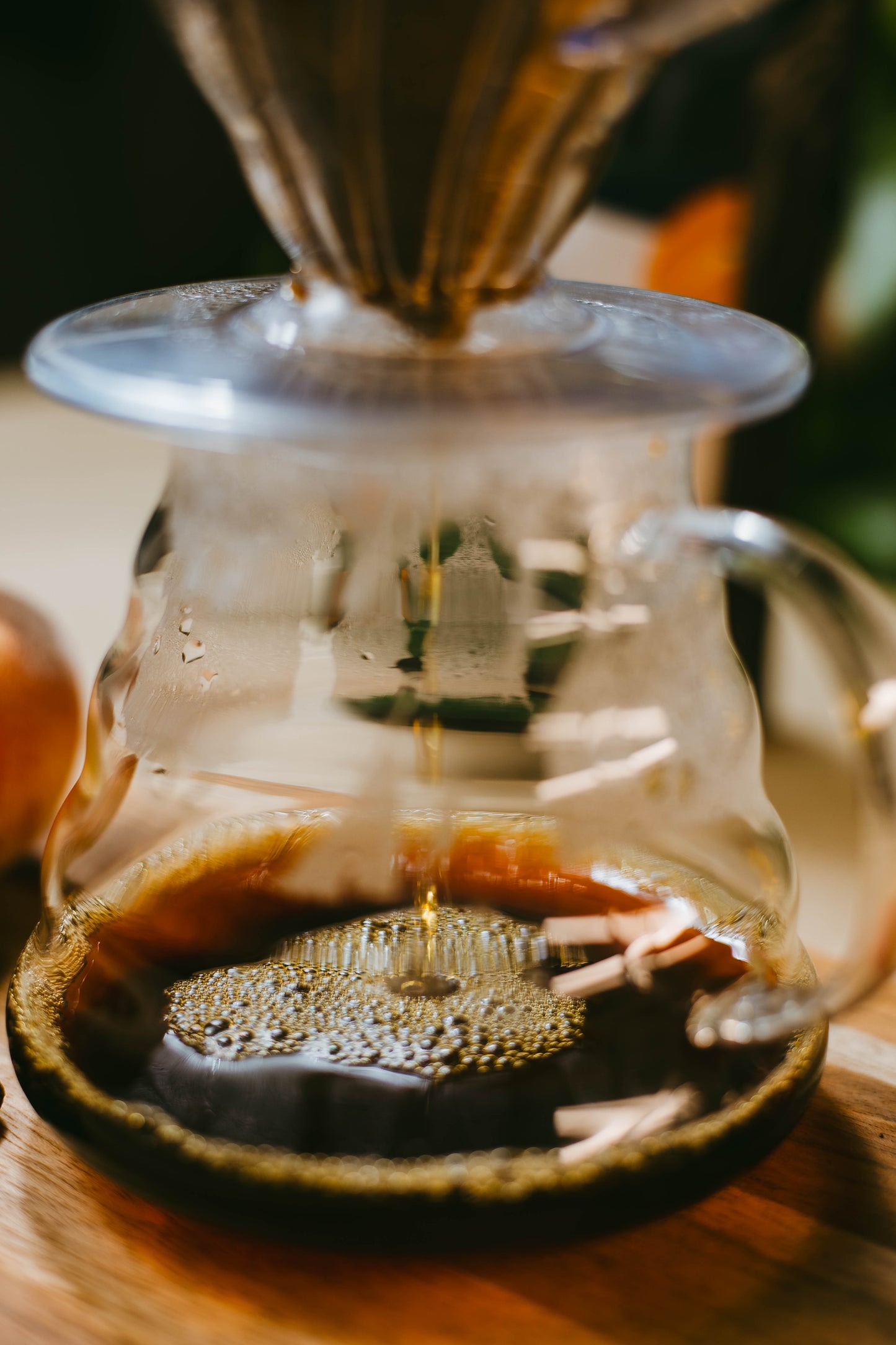 Café Especial 100% Arábica 84+ Pontos 250g | Casquet Boia Torrado em Grãos