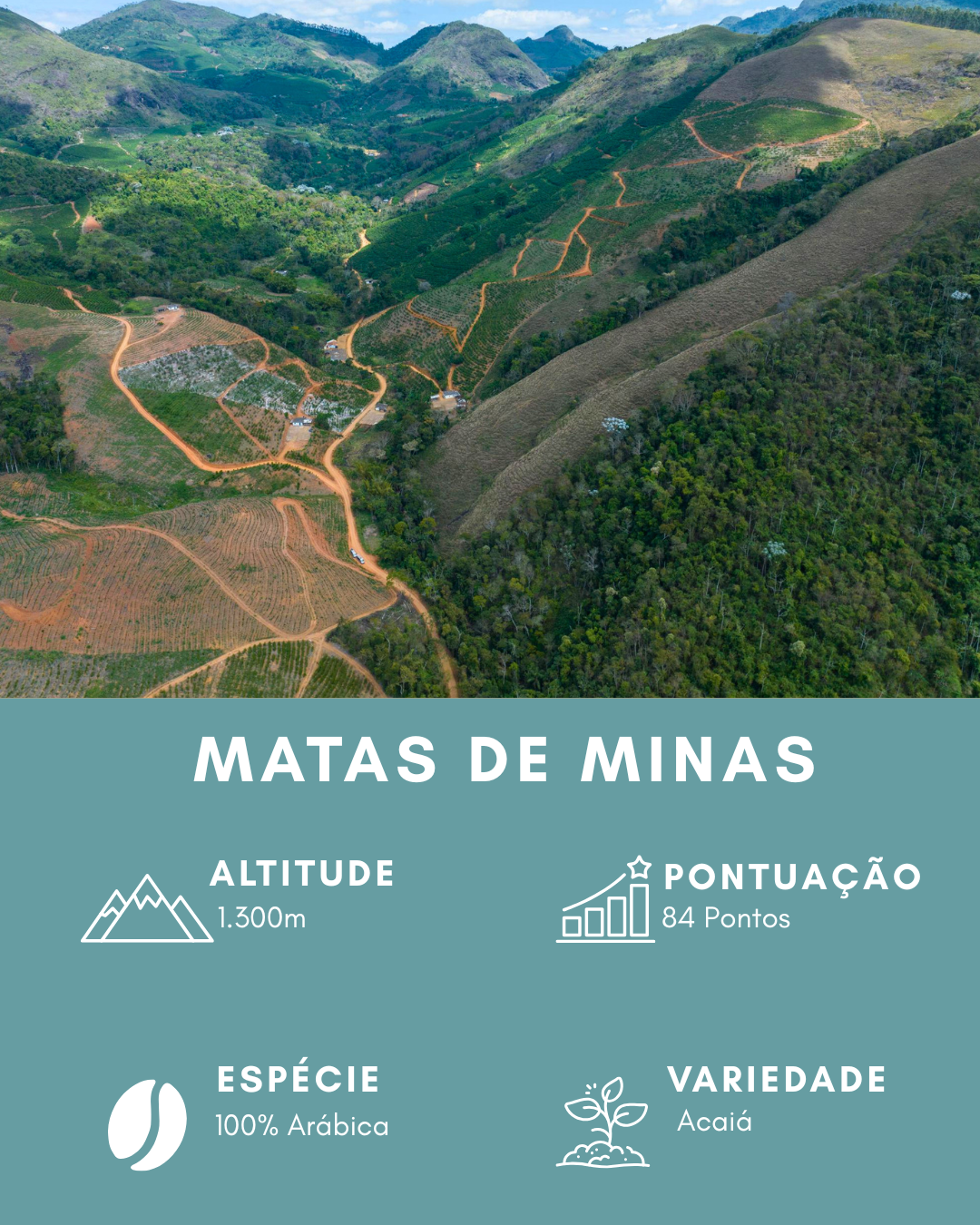 Café Especial Torrado em Grãos 100% Arábica 84+ Pontos 1,25kg | Casquet Abissal Minas Gerais