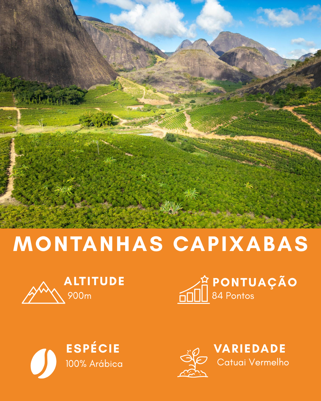Café Especial Torrado em Grãos 100% Arábica 84+ Pontos 1,25kg | Casquet Anzol Espírito Santo