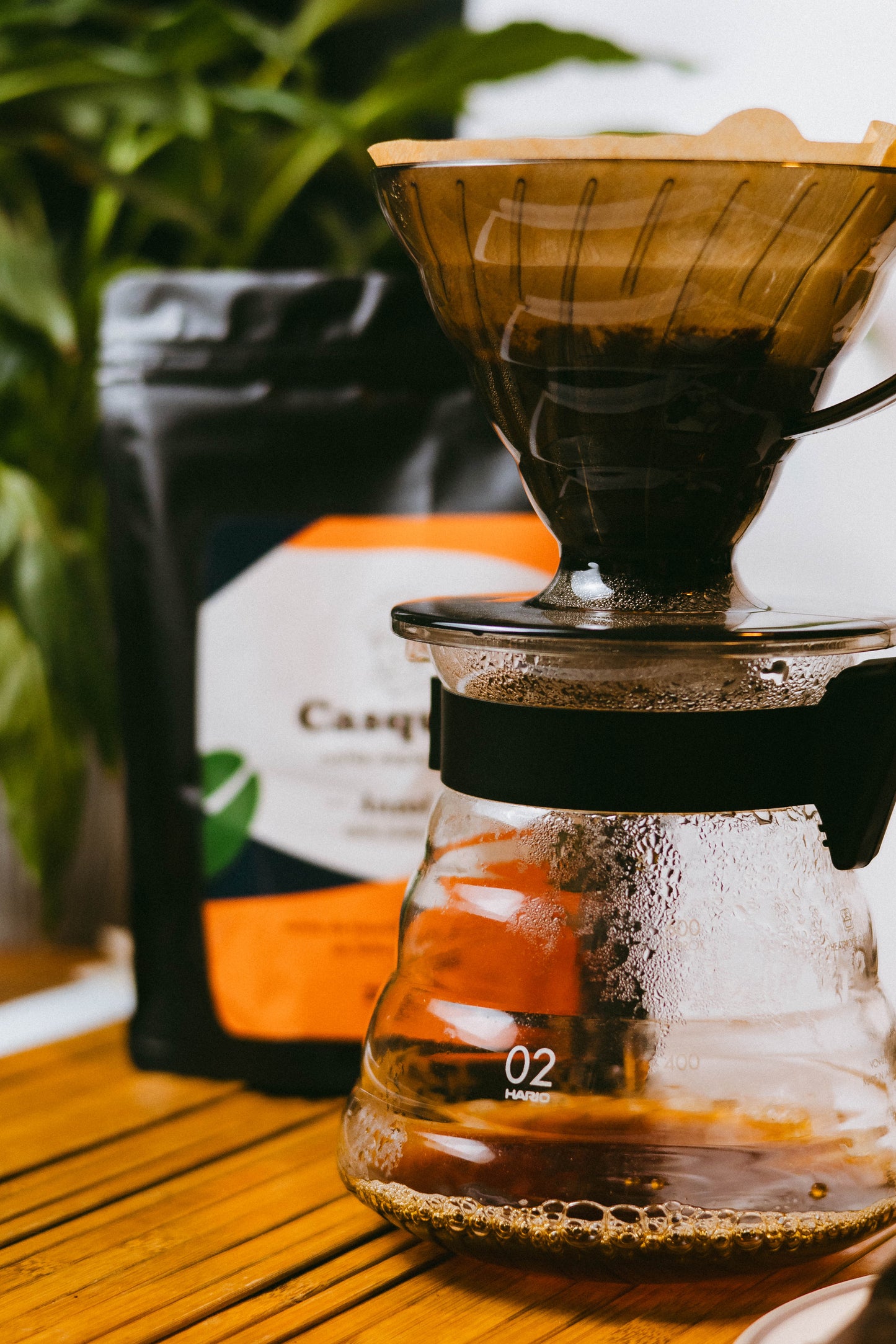 Café Especial Torrado em Grãos 100% Arábica 84+ Pontos 1,25kg | Casquet Anzol Espírito Santo