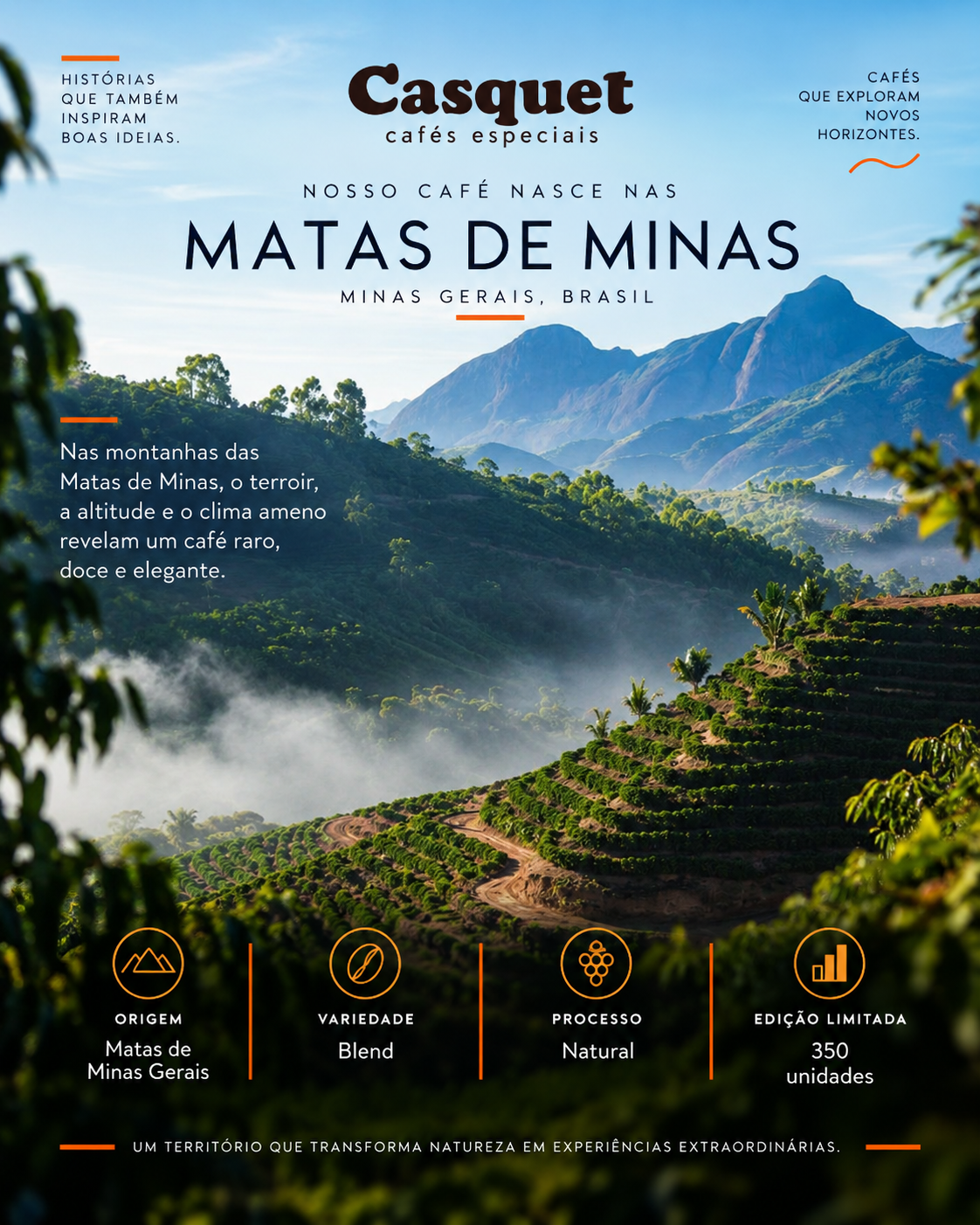Café Especial Grãos Wabi Casquet × Espresso Doc. 250g | 100% Arábica | Torra Média | Edição Colaborativa