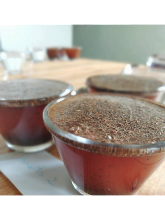 Kit Cupping Cafés