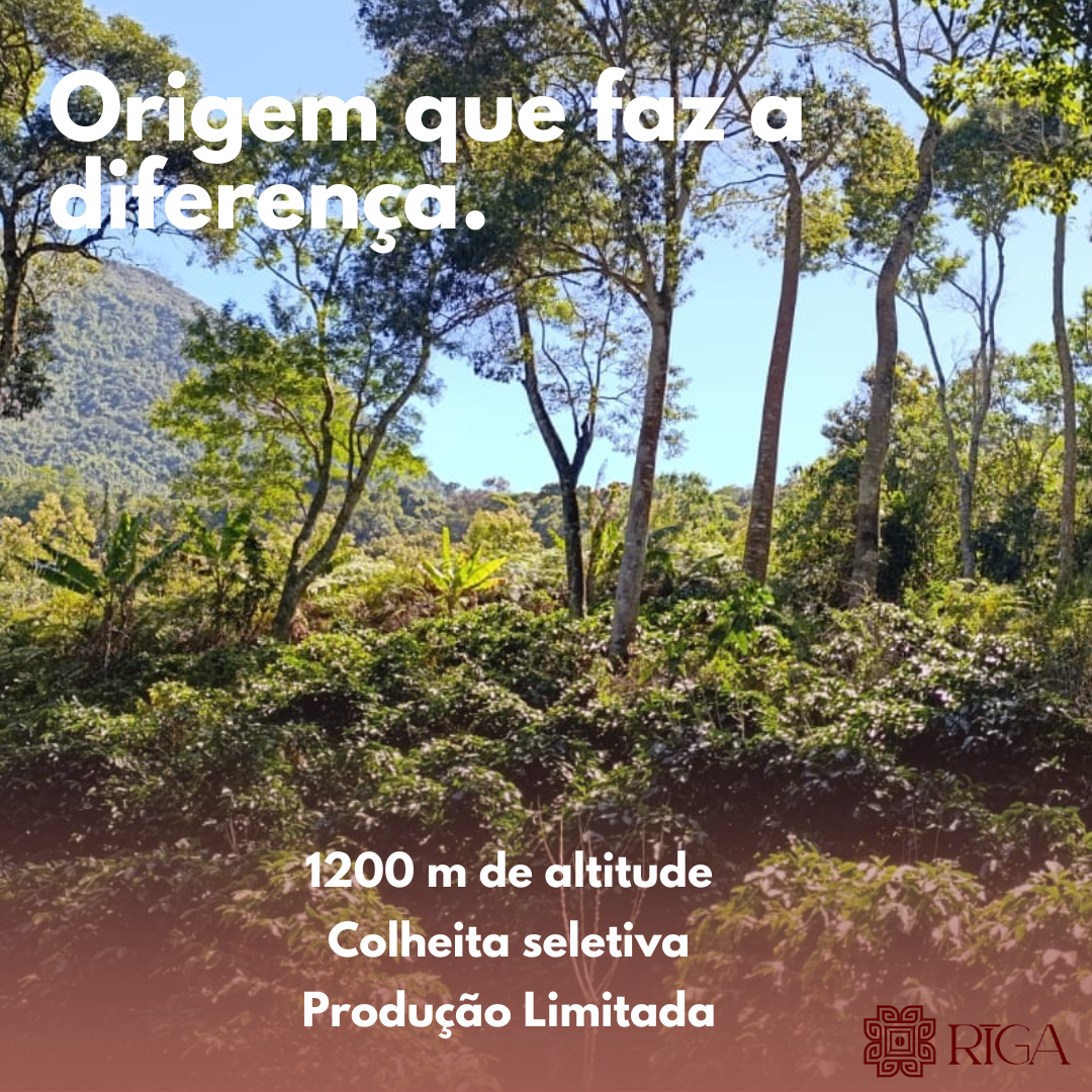 Kit Degustação 3 embalagens de 100 gramas em pó