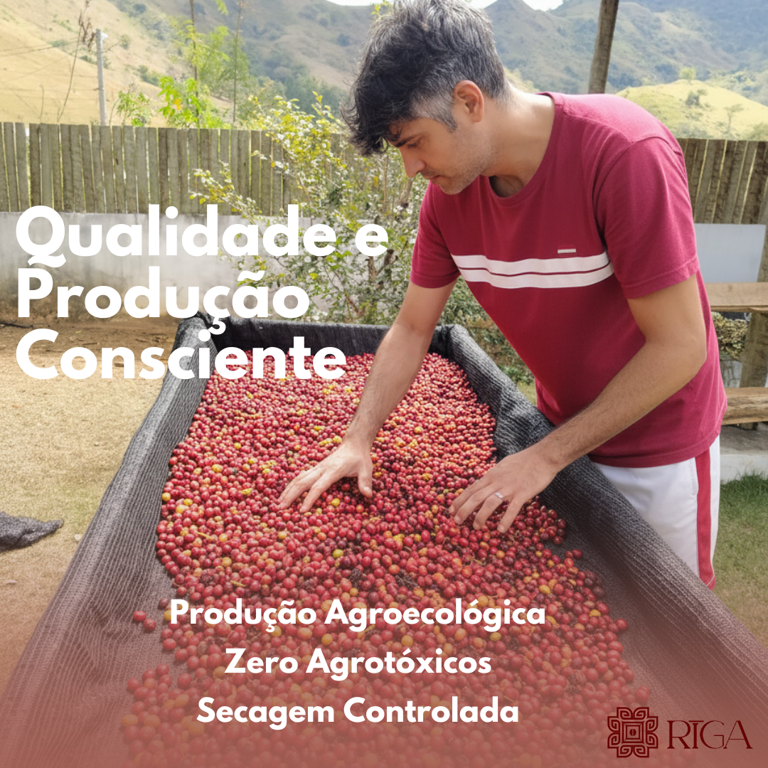 Kit Degustação 3 embalagens de 100 gramas em grãos